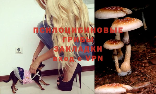 шишки Алексеевка