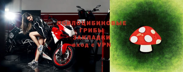 шишки Алексеевка