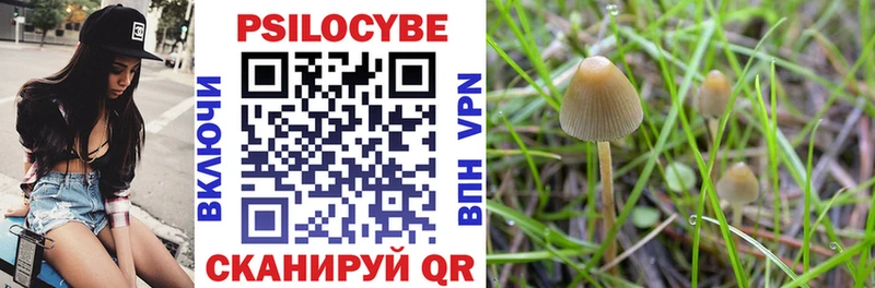 Псилоцибиновые грибы Cubensis Лахденпохья