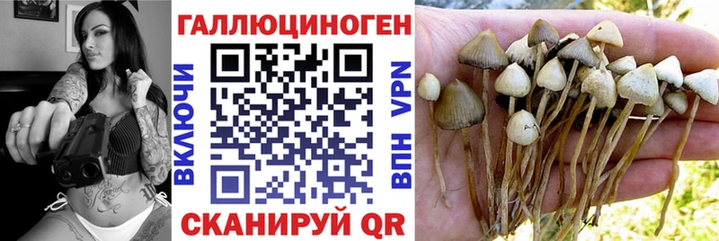 Галлюциногенные грибы прущие грибы omg ONION Лахденпохья